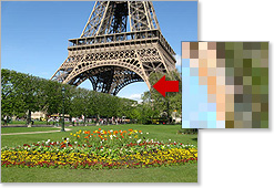 Duplicate Photo Finder - Find Duplicate Photos & Similar Pictures
